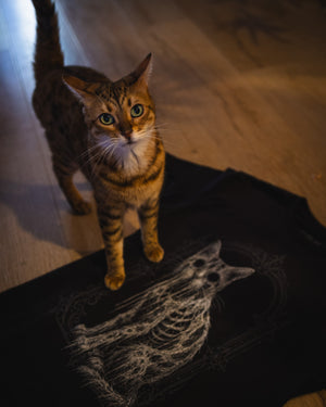 Death Cat T-Shirt